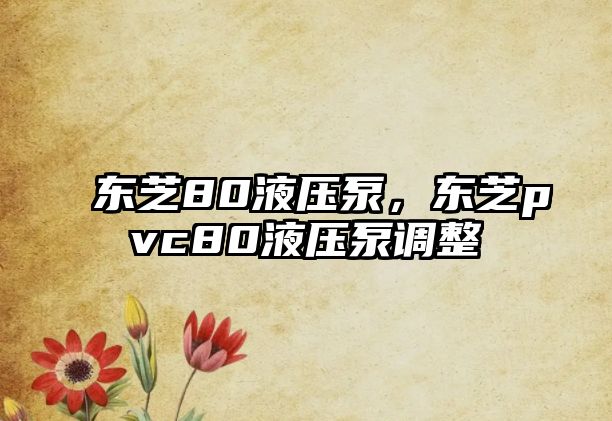 東芝80液壓泵，東芝pvc80液壓泵調(diào)整