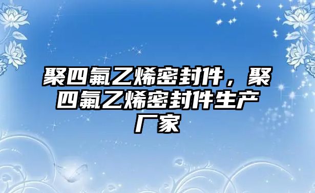 聚四氟乙烯密封件，聚四氟乙烯密封件生產(chǎn)廠家