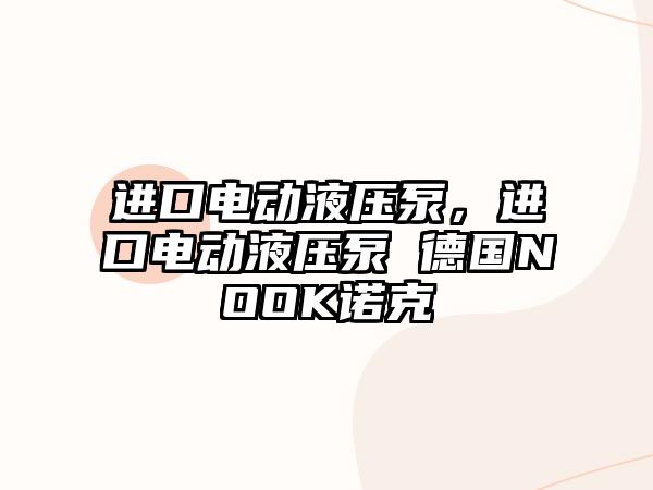 進口電動液壓泵，進口電動液壓泵 德國NOOK諾克