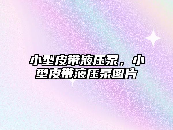 小型皮帶液壓泵，小型皮帶液壓泵圖片