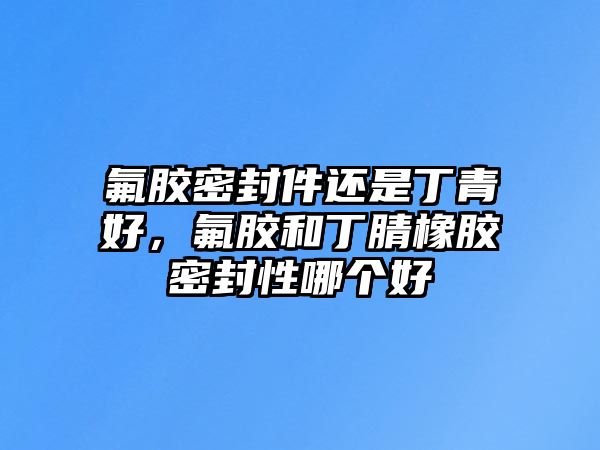 氟膠密封件還是丁青好，氟膠和丁腈橡膠密封性哪個好