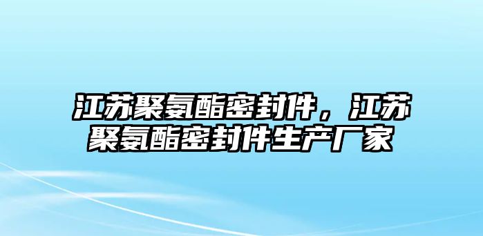 江蘇聚氨酯密封件，江蘇聚氨酯密封件生產(chǎn)廠家