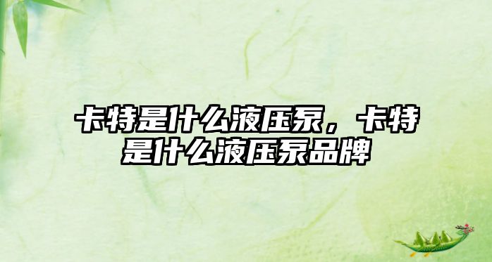 卡特是什么液壓泵，卡特是什么液壓泵品牌