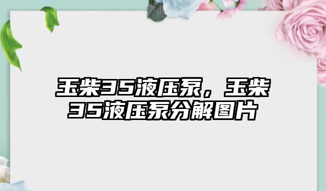 玉柴35液壓泵，玉柴35液壓泵分解圖片