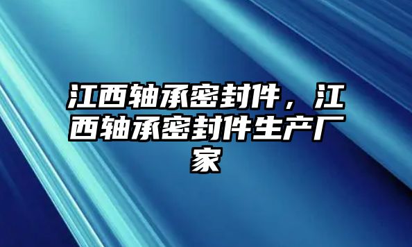 江西軸承密封件，江西軸承密封件生產(chǎn)廠家