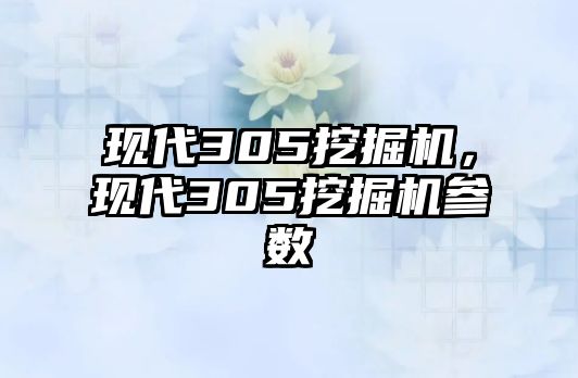 現(xiàn)代305挖掘機，現(xiàn)代305挖掘機參數(shù)