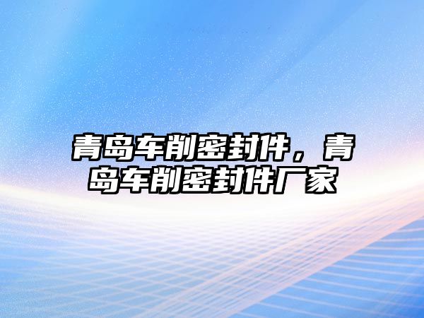 青島車削密封件，青島車削密封件廠家