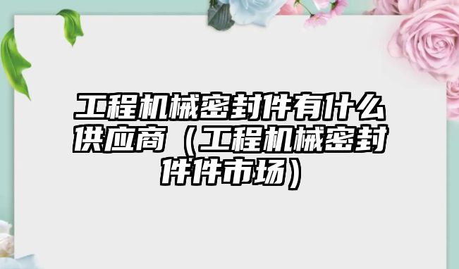 工程機(jī)械密封件有什么供應(yīng)商（工程機(jī)械密封件件市場(chǎng)）