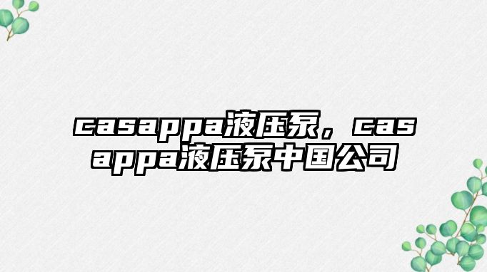 casappa液壓泵，casappa液壓泵中國公司