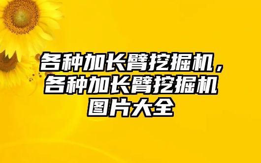 各種加長(zhǎng)臂挖掘機(jī)，各種加長(zhǎng)臂挖掘機(jī)圖片大全