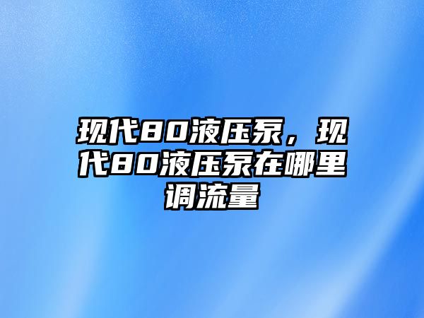 現(xiàn)代80液壓泵，現(xiàn)代80液壓泵在哪里調(diào)流量