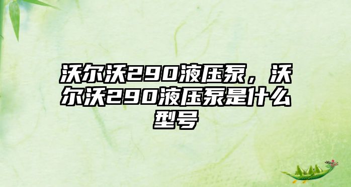 沃爾沃290液壓泵，沃爾沃290液壓泵是什么型號(hào)