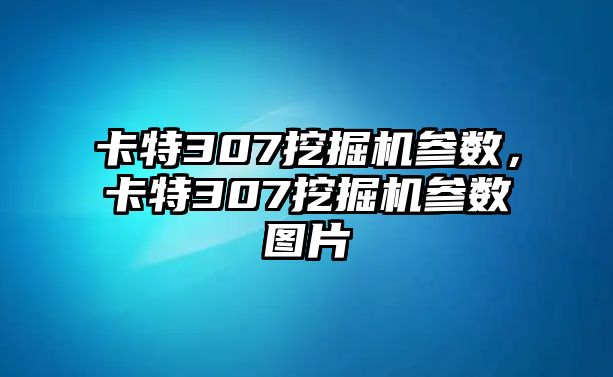 卡特307挖掘機(jī)參數(shù)，卡特307挖掘機(jī)參數(shù)圖片