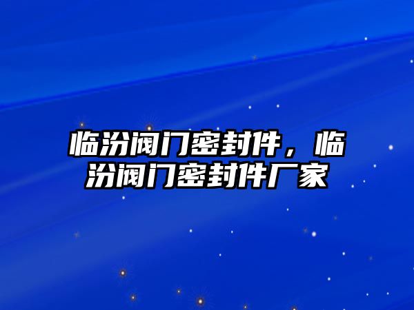 臨汾閥門密封件，臨汾閥門密封件廠家