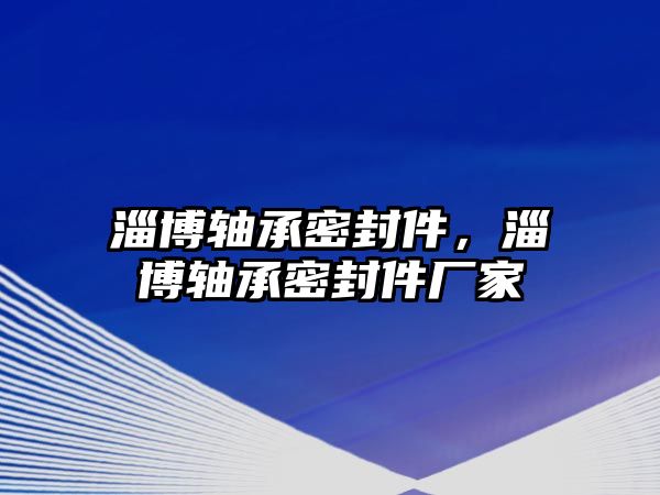 淄博軸承密封件，淄博軸承密封件廠家