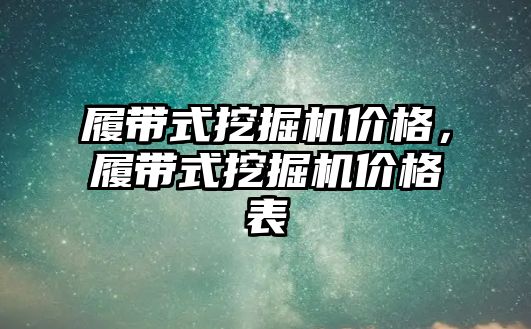 履帶式挖掘機價格，履帶式挖掘機價格表