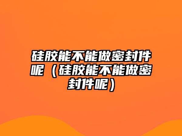 硅膠能不能做密封件呢（硅膠能不能做密封件呢）