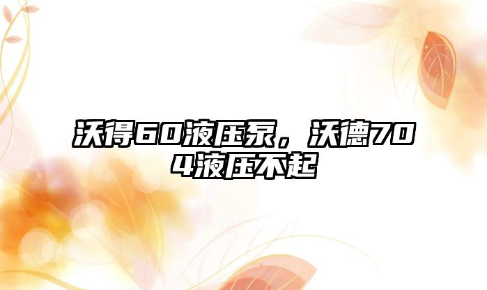 沃得60液壓泵，沃德704液壓不起