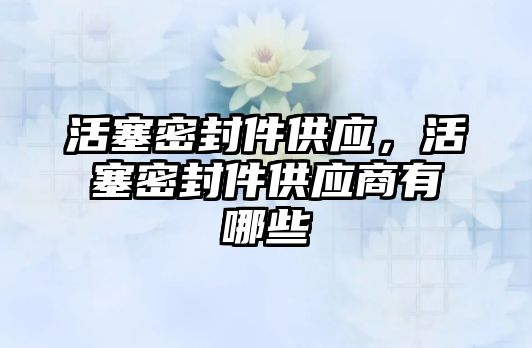 活塞密封件供應，活塞密封件供應商有哪些