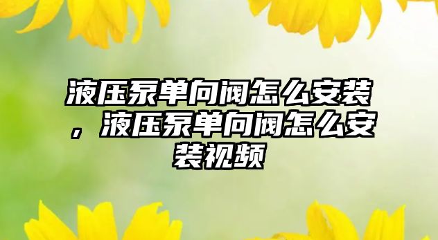 液壓泵單向閥怎么安裝，液壓泵單向閥怎么安裝視頻