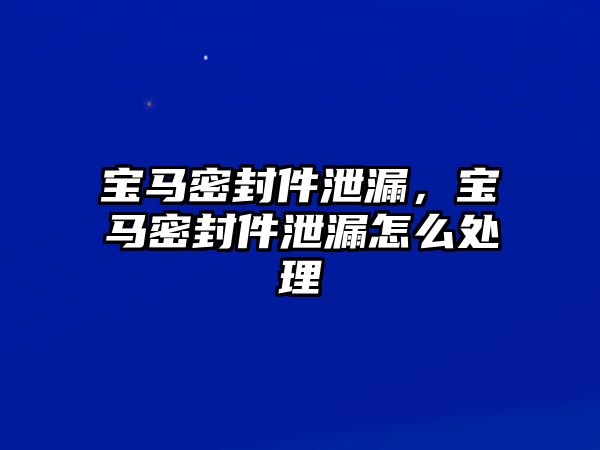 寶馬密封件泄漏，寶馬密封件泄漏怎么處理