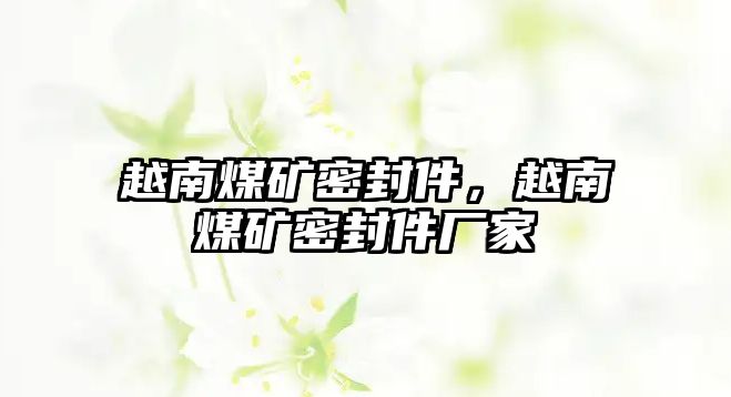 越南煤礦密封件，越南煤礦密封件廠家