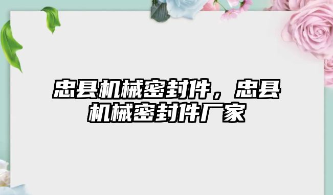 忠縣機械密封件，忠縣機械密封件廠家