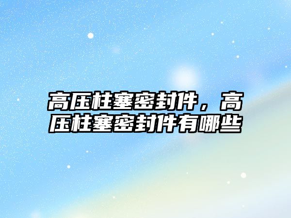 高壓柱塞密封件，高壓柱塞密封件有哪些