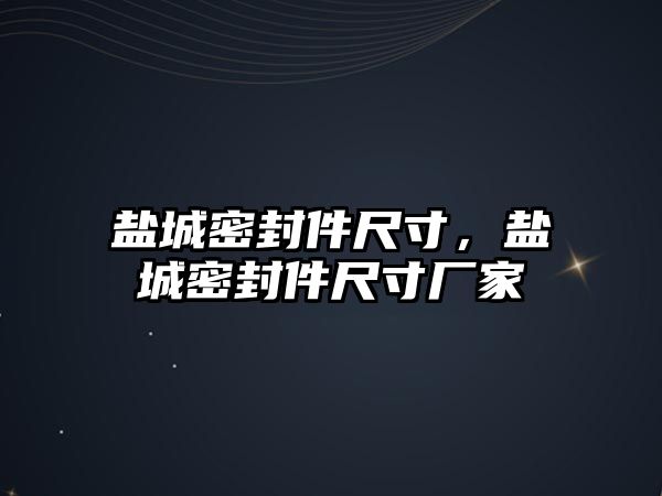 鹽城密封件尺寸，鹽城密封件尺寸廠家