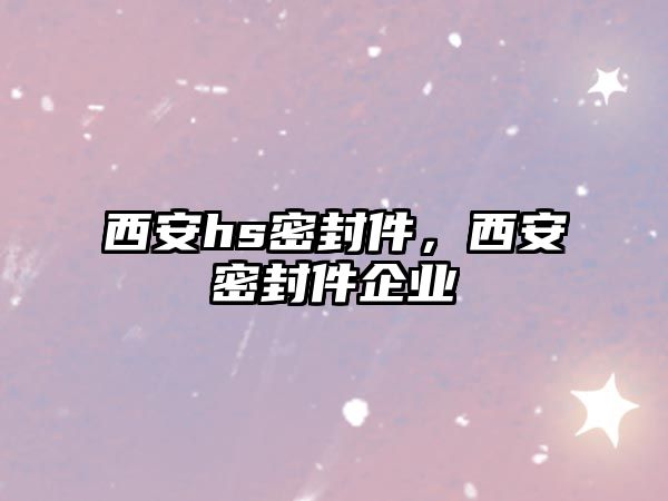 西安hs密封件，西安密封件企業(yè)