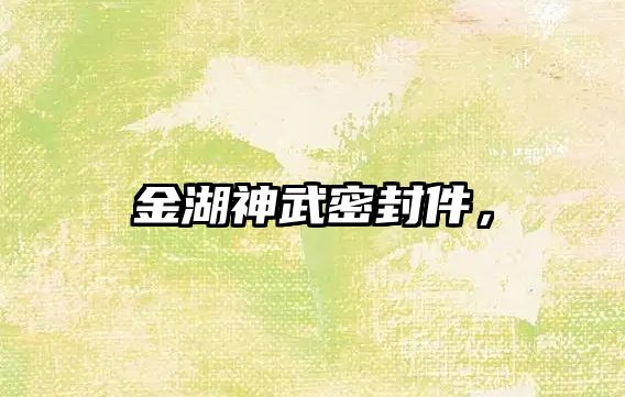 金湖神武密封件，