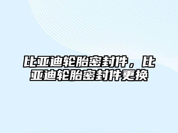 比亞迪輪胎密封件，比亞迪輪胎密封件更換