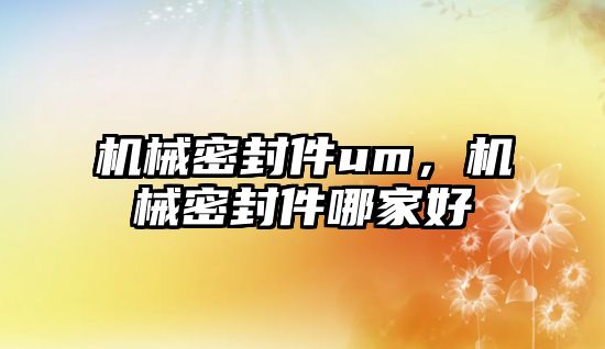 機械密封件um，機械密封件哪家好