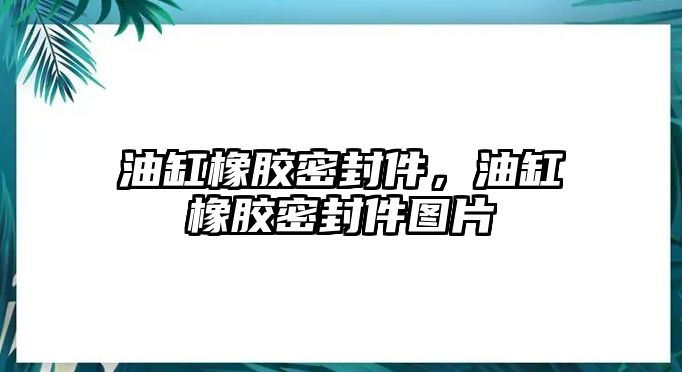 油缸橡膠密封件，油缸橡膠密封件圖片