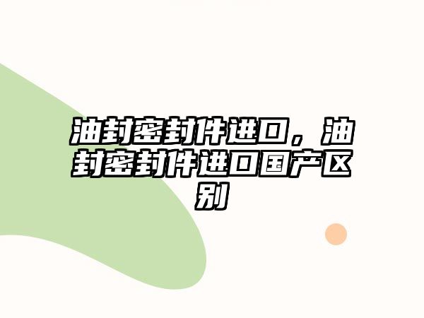 油封密封件進口，油封密封件進口國產(chǎn)區(qū)別