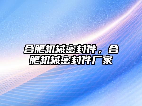 合肥機械密封件，合肥機械密封件廠家