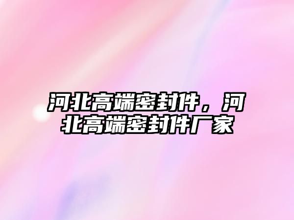 河北高端密封件，河北高端密封件廠家