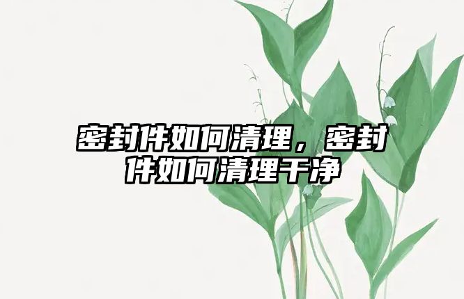 密封件如何清理，密封件如何清理干凈