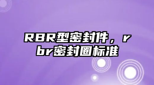 RBR型密封件，rbr密封圈標(biāo)準(zhǔn)