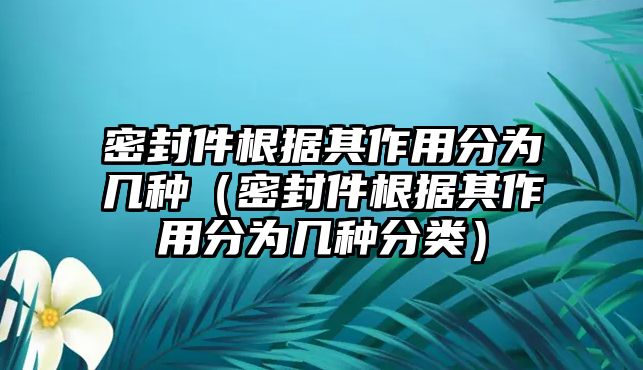 密封件根據(jù)其作用分為幾種（密封件根據(jù)其作用分為幾種分類）