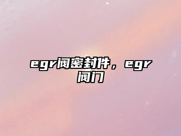 egr閥密封件，egr閥門(mén)