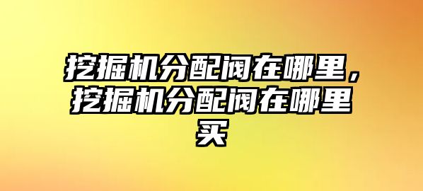 挖掘機(jī)分配閥在哪里，挖掘機(jī)分配閥在哪里買