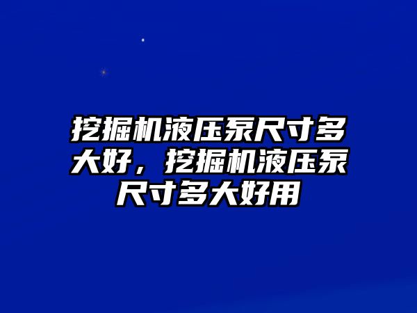 挖掘機液壓泵尺寸多大好，挖掘機液壓泵尺寸多大好用