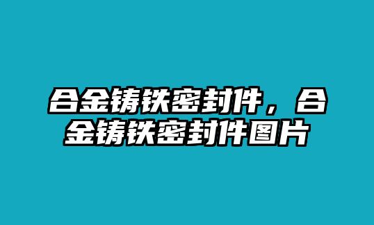 合金鑄鐵密封件，合金鑄鐵密封件圖片