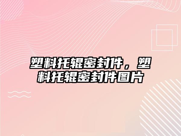 塑料托輥密封件，塑料托輥密封件圖片