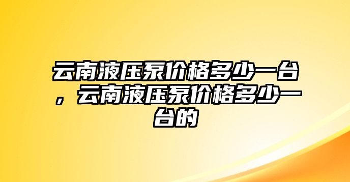 云南液壓泵價(jià)格多少一臺(tái)，云南液壓泵價(jià)格多少一臺(tái)的