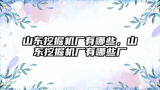 山東挖掘機廠有哪些，山東挖掘機廠有哪些廠