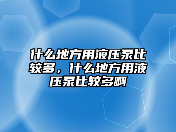 什么地方用液壓泵比較多，什么地方用液壓泵比較多啊