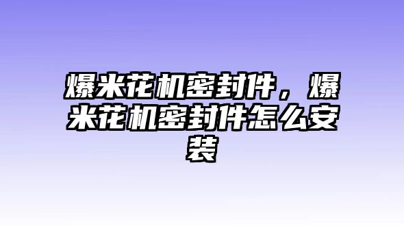 爆米花機密封件，爆米花機密封件怎么安裝