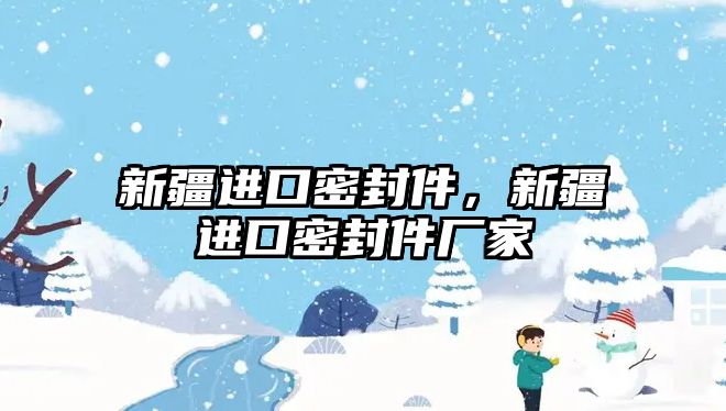 新疆進(jìn)口密封件，新疆進(jìn)口密封件廠家